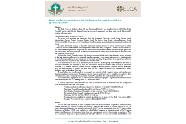 06-07 Report and Recommendations of the Task Force on On-Leave-from-Call and Specialized Ministry
