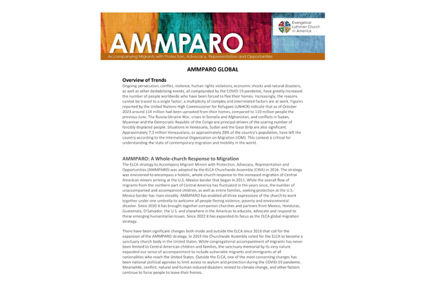 AMMPAROGlobal