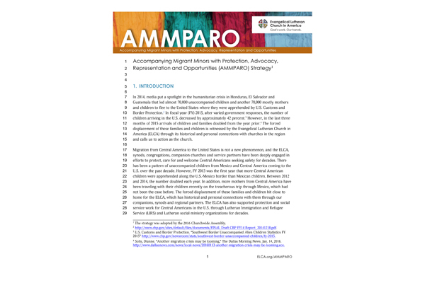 AMMPARO Strategy