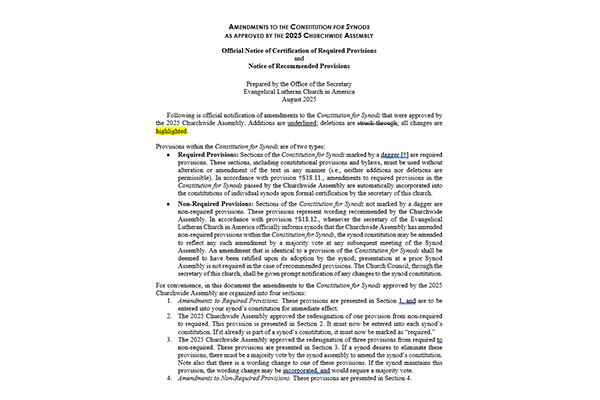 Amendments to the Constitution for Synods 2025