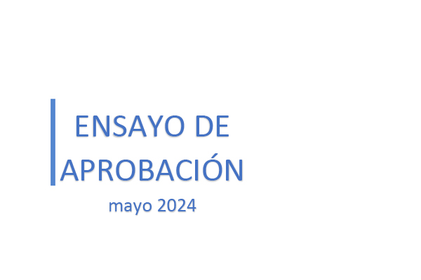 Candidatura Approval Essay (Spanish)