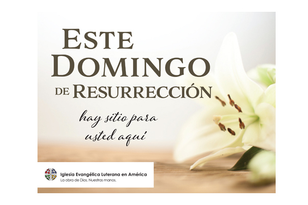 Easter Lily Postcard – Spanish