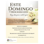 ELCA - Easter Tools - Lily - Poster - 2025 - Spanish