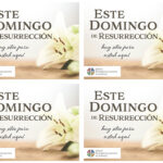 ELCA - Easter Tools -Single Lily - Postcard - 4Up - 2025 - Spanish