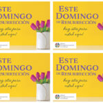 ELCA EasterTools Tulips Postcard - 4up 2025 Spanish