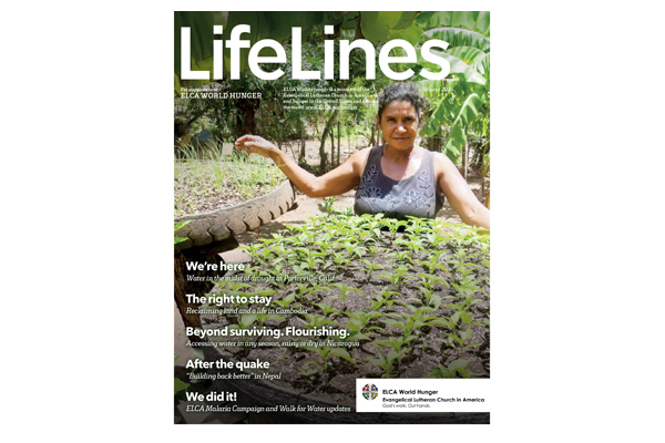 LifeLines Winter 2016