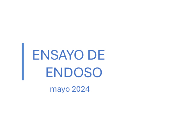 Candidatura Endorsement Essay (Spanish)