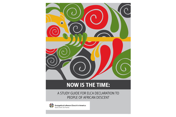 Explanation of the Declaration of the ELCA to People of African Descent – Study Guide