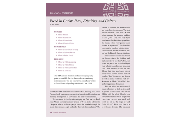 Race, Ethnicity and Culture Social Statement Introduction