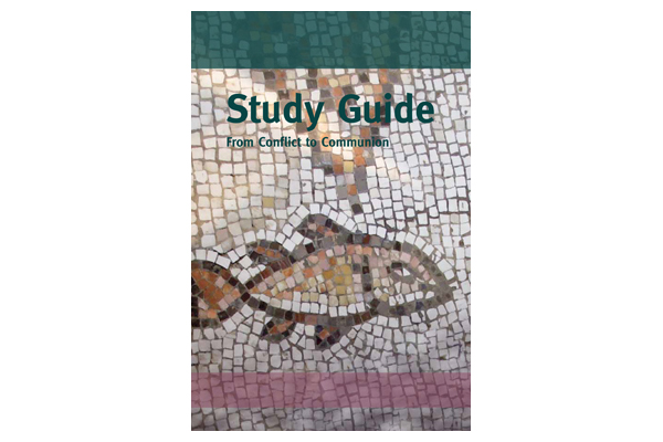 From Conflict To Communion Study Guide 3-13