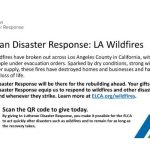 LDR LA Wildfires