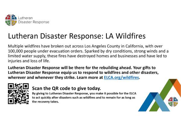 LDR LA Wildfires