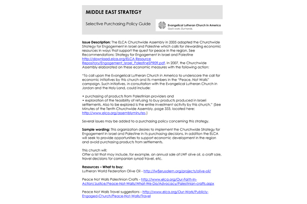 Middle East Strategy Selective Purchasing Policy Guide