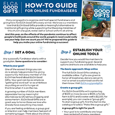 How-to Guide for Online Fundraisers (PDF)