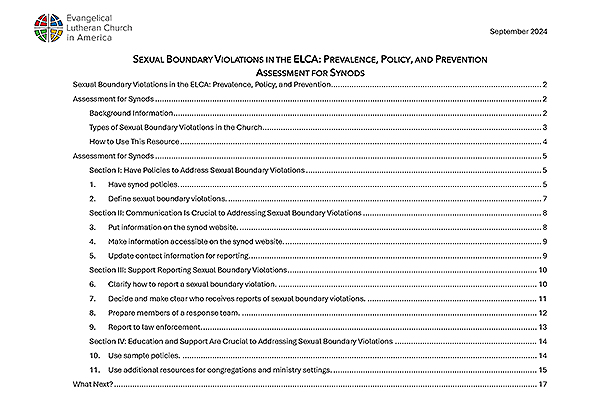 Sexual Boundary Violations Assessment for Synods