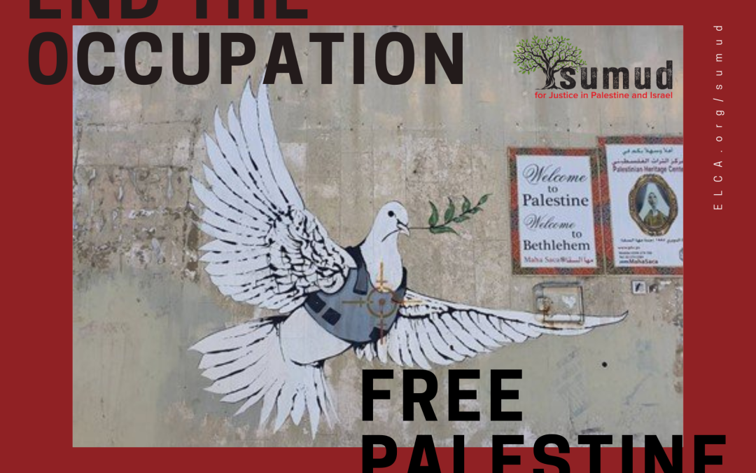 Sumud - End the Occupation Poster