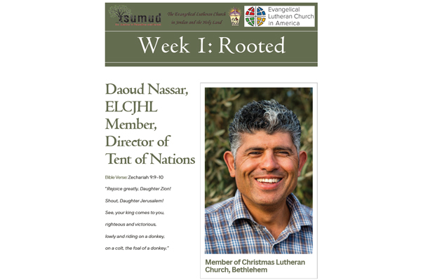 Sumud Advent Week 1: Rooted