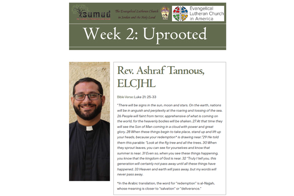 Sumud Advent Week 2: Uprooted